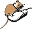 Program code